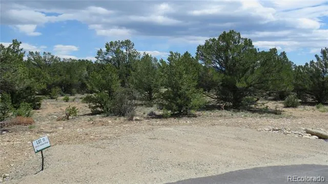 28922 Timber Ridge Buena Vista, CO 81211
