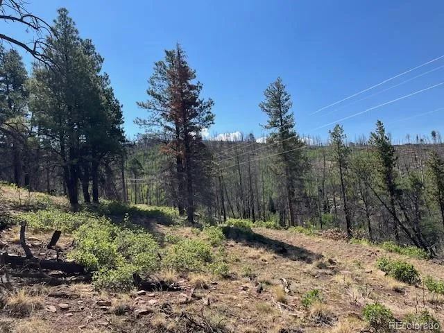 Lot 369-370 Powers Road Fort Garland, CO 81133