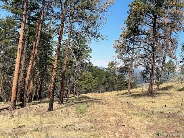 Lot 369-370 Powers Road Fort Garland, CO 81133
