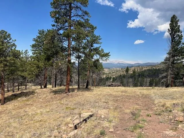 Lot 369-370 Powers Road Fort Garland, CO 81133