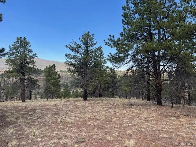 Lot 369-370 Powers Road Fort Garland, CO 81133