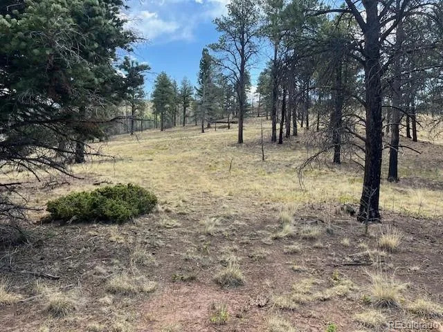 Lot 369-370 Powers Road Fort Garland, CO 81133
