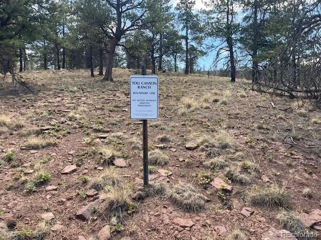 Lot 369-370 Powers Road Fort Garland, CO 81133