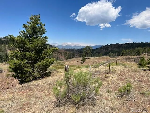 Lot 369-370 Powers Road Fort Garland, CO 81133