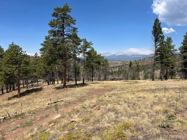 Lot 369-370 Powers Road Fort Garland, CO 81133