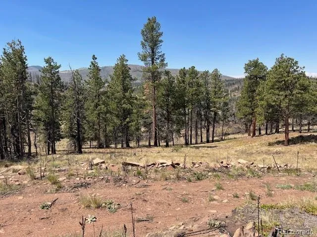 Lot 369-370 Powers Road Fort Garland, CO 81133