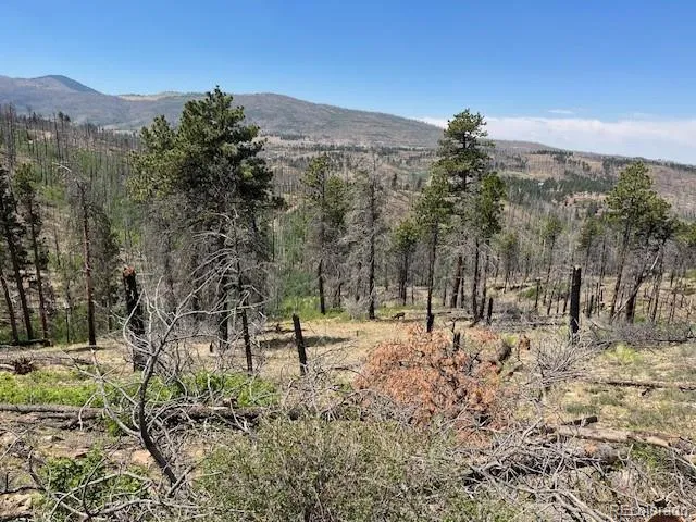 Lot 369-370 Powers Road Fort Garland, CO 81133
