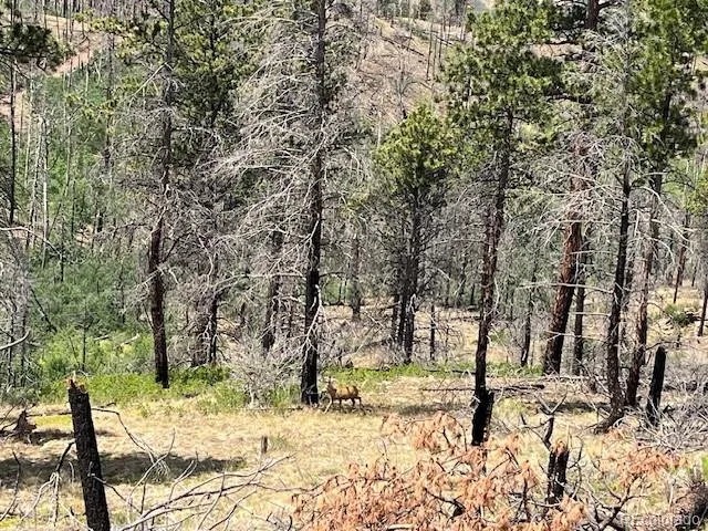 Lot 369-370 Powers Road Fort Garland, CO 81133