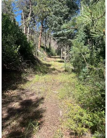Lot 369-370 Powers Road Fort Garland, CO 81133