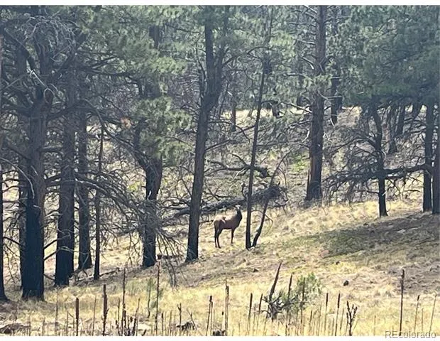 Lot 369-370 Powers Road Fort Garland, CO 81133