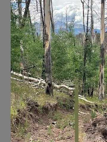 Lot 369-370 Powers Road Fort Garland, CO 81133