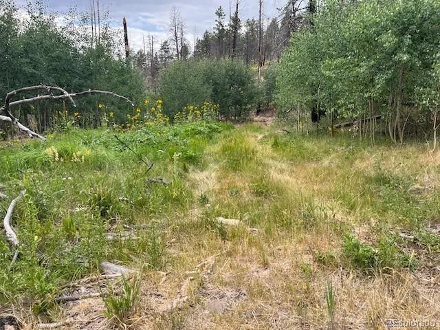 Lot 369-370 Powers Road Fort Garland, CO 81133