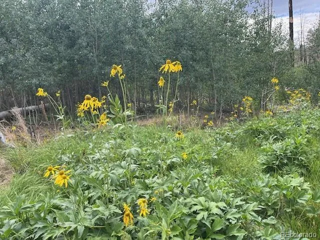 Lot 369-370 Powers Road Fort Garland, CO 81133