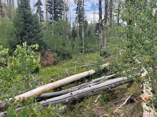 Lot 369-370 Powers Road Fort Garland, CO 81133