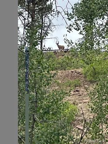 Lot 369-370 Powers Road Fort Garland, CO 81133
