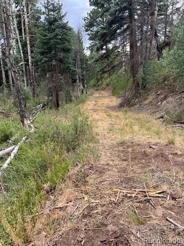 Lot 369-370 Powers Road Fort Garland, CO 81133