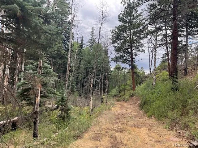 Lot 369-370 Powers Road Fort Garland, CO 81133