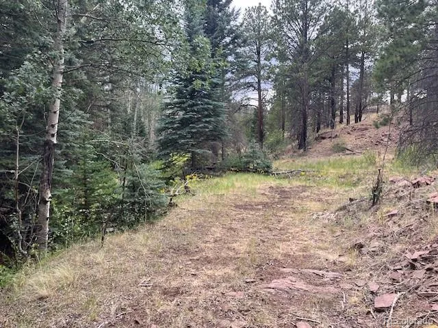 Lot 369-370 Powers Road Fort Garland, CO 81133