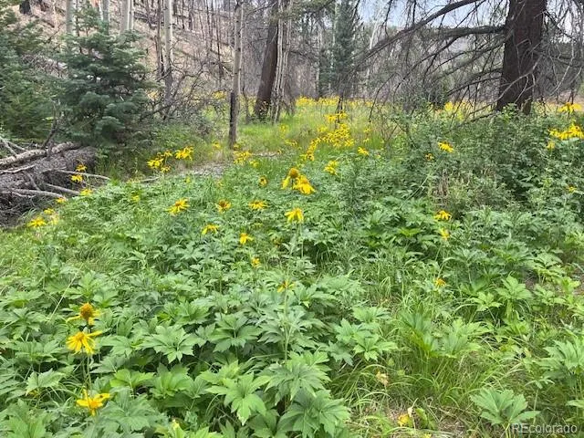 Lot 369-370 Powers Road Fort Garland, CO 81133