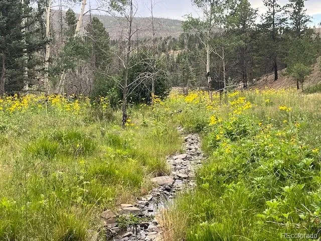 Lot 369-370 Powers Road Fort Garland, CO 81133