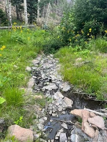 Lot 369-370 Powers Road Fort Garland, CO 81133