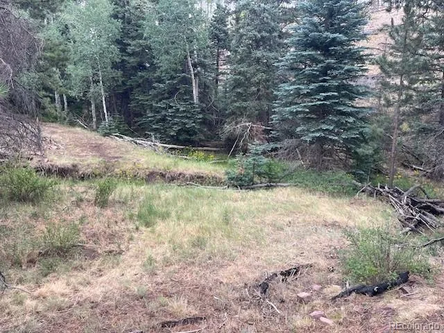 Lot 369-370 Powers Road Fort Garland, CO 81133