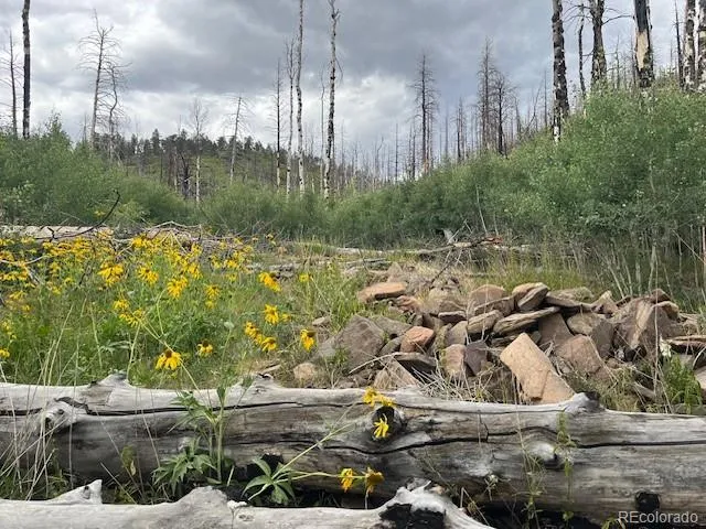Lot 369-370 Powers Road Fort Garland, CO 81133