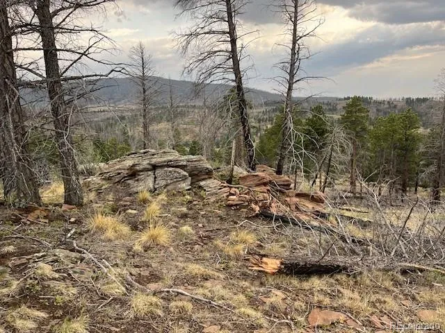 Lot 369-370 Powers Road Fort Garland, CO 81133