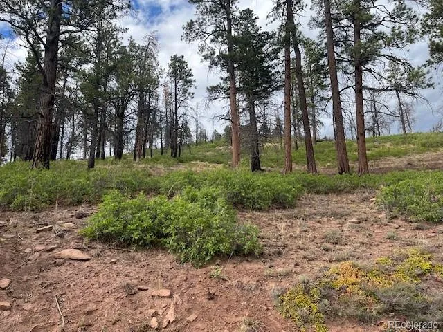 Lot 369-370 Powers Road Fort Garland, CO 81133