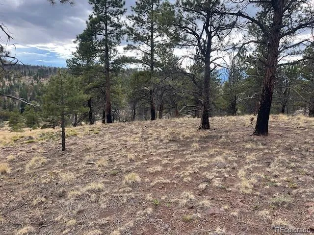 Lot 369-370 Powers Road Fort Garland, CO 81133
