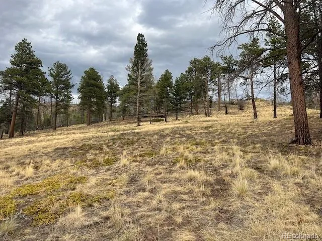 Lot 369-370 Powers Road Fort Garland, CO 81133