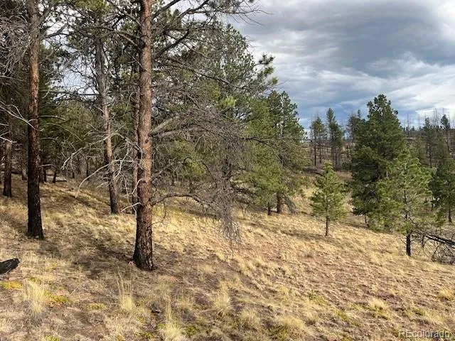 Lot 369-370 Powers Road Fort Garland, CO 81133