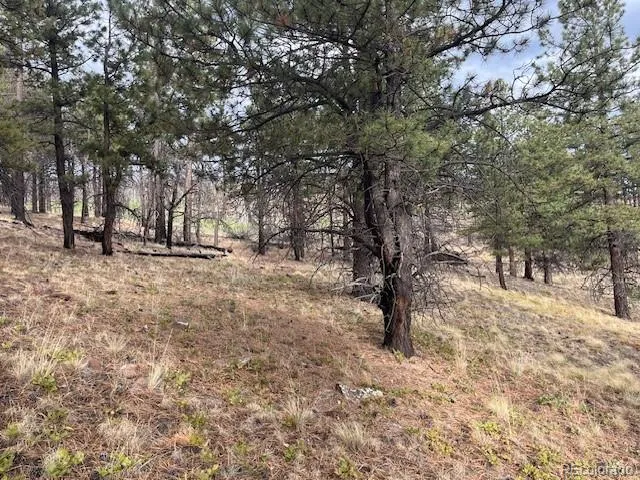 Lot 369-370 Powers Road Fort Garland, CO 81133