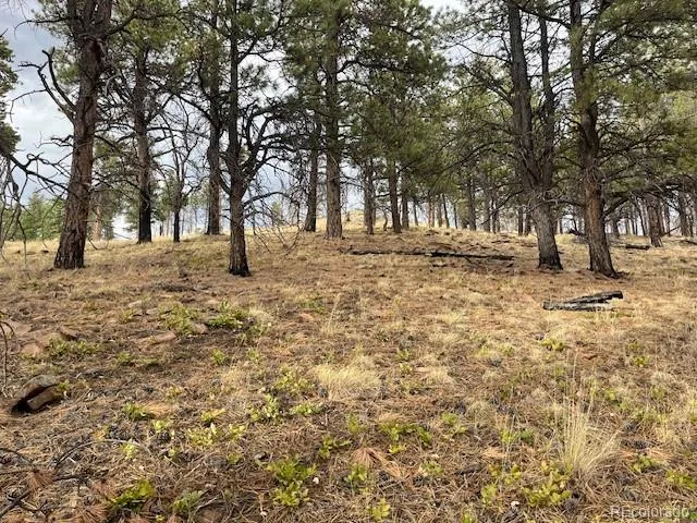Lot 369-370 Powers Road Fort Garland, CO 81133