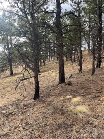 Lot 369-370 Powers Road Fort Garland, CO 81133