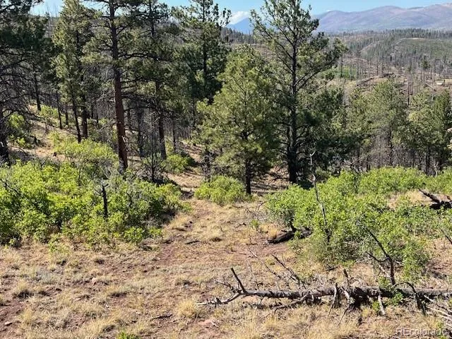 Lot 369-370 Powers Road Fort Garland, CO 81133