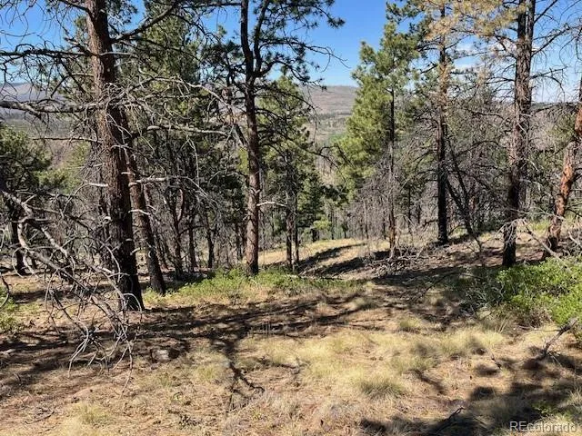 Lot 369-370 Powers Road Fort Garland, CO 81133