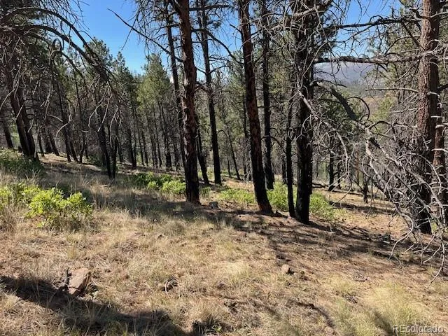 Lot 369-370 Powers Road Fort Garland, CO 81133