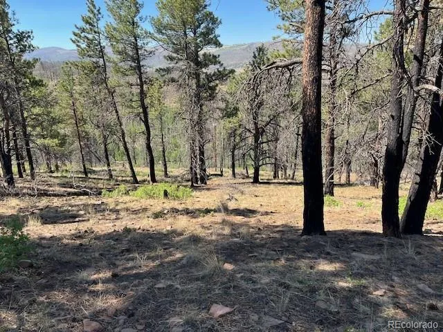 Lot 369-370 Powers Road Fort Garland, CO 81133
