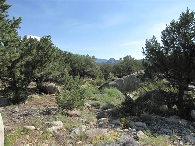 30036 Teal Run Buena Vista, CO 81211