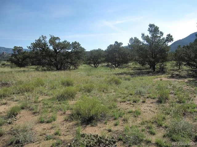 30036 Teal Run Buena Vista, CO 81211