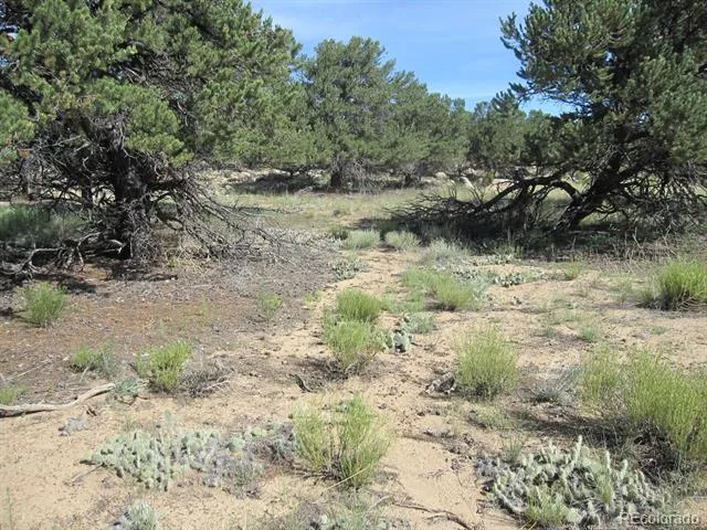 30036 Teal Run Buena Vista, CO 81211