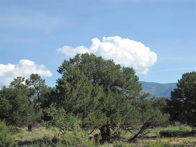 30036 Teal Run Buena Vista, CO 81211