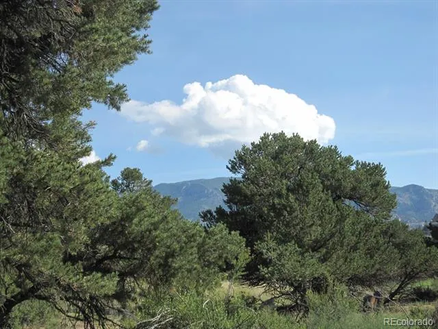 30036 Teal Run Buena Vista, CO 81211