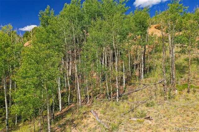 1300 Golden Cycle Circle Cripple Creek, CO 80813
