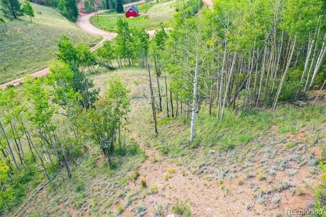 1300 Golden Cycle Circle Cripple Creek, CO 80813