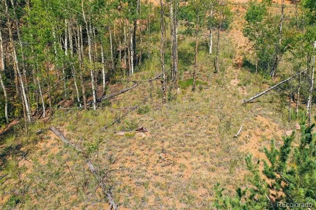 1300 Golden Cycle Circle Cripple Creek, CO 80813