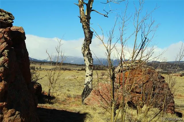 20400 Us-285 Fairplay, CO 80440