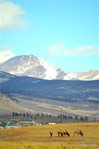 20400 Us-285 Fairplay, CO 80440