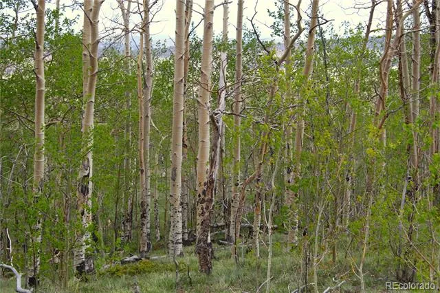 20400 Us-285 Fairplay, CO 80440